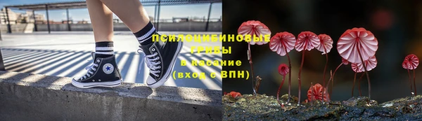 ECSTASY Аркадак