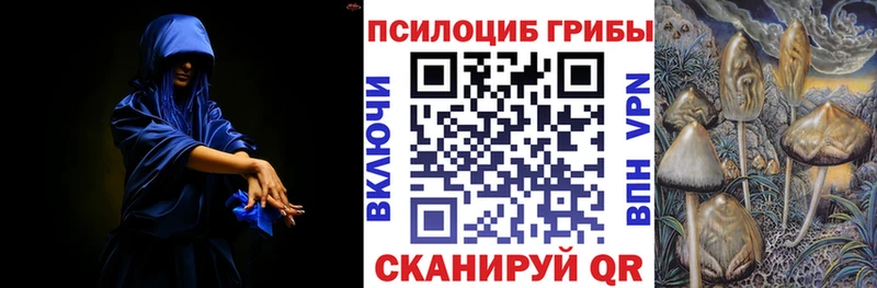 Галлюциногенные грибы прущие грибы  Сокол 